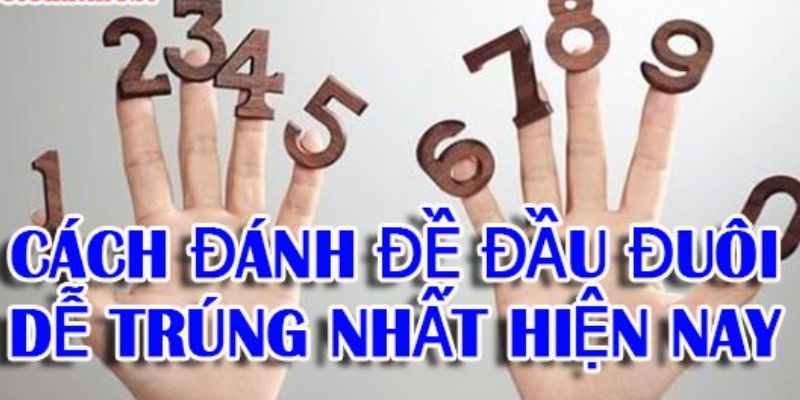 Khái niệm đề đầu đuôi là gì?